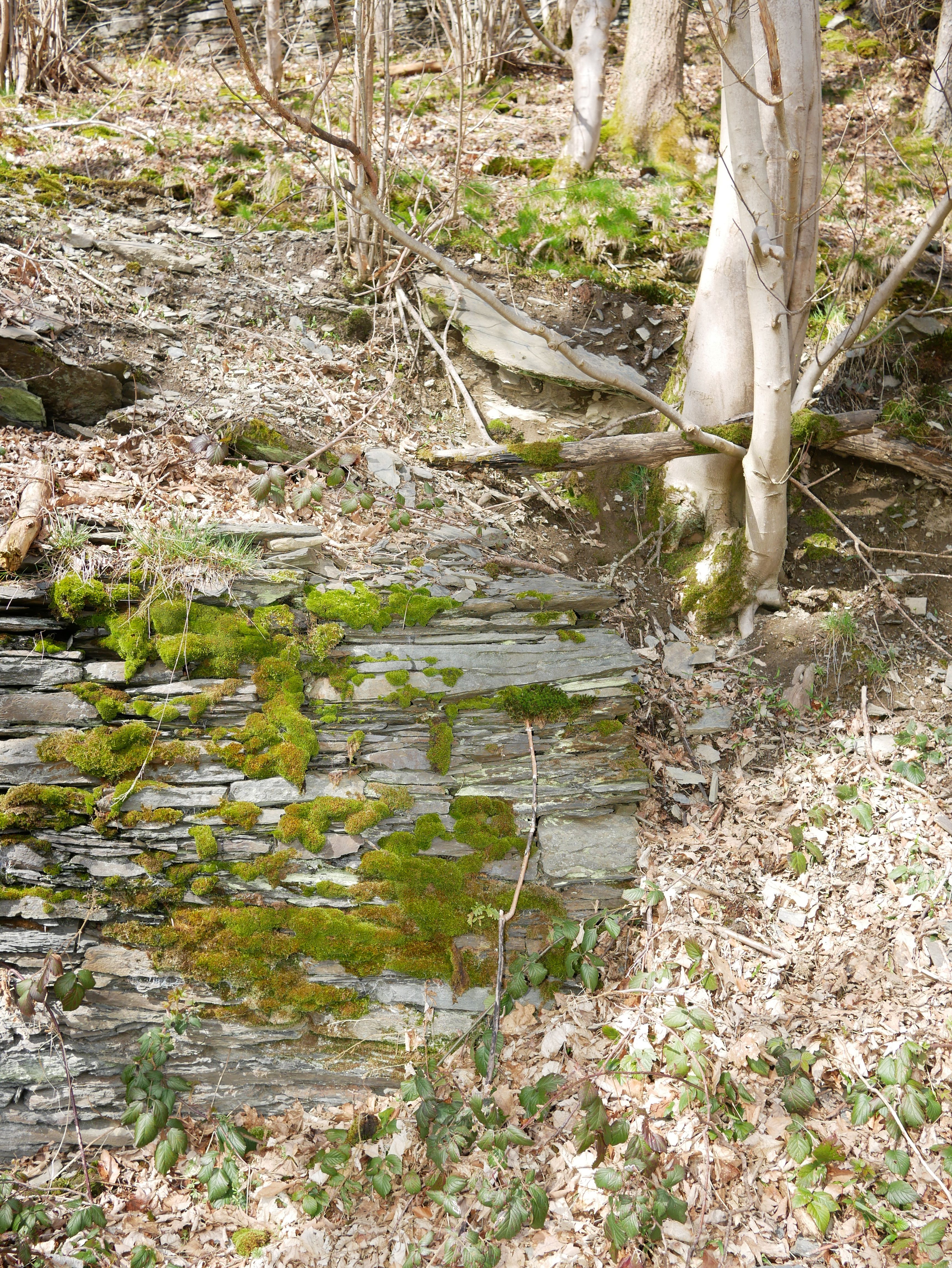 GERMANY #1 - Photo 7