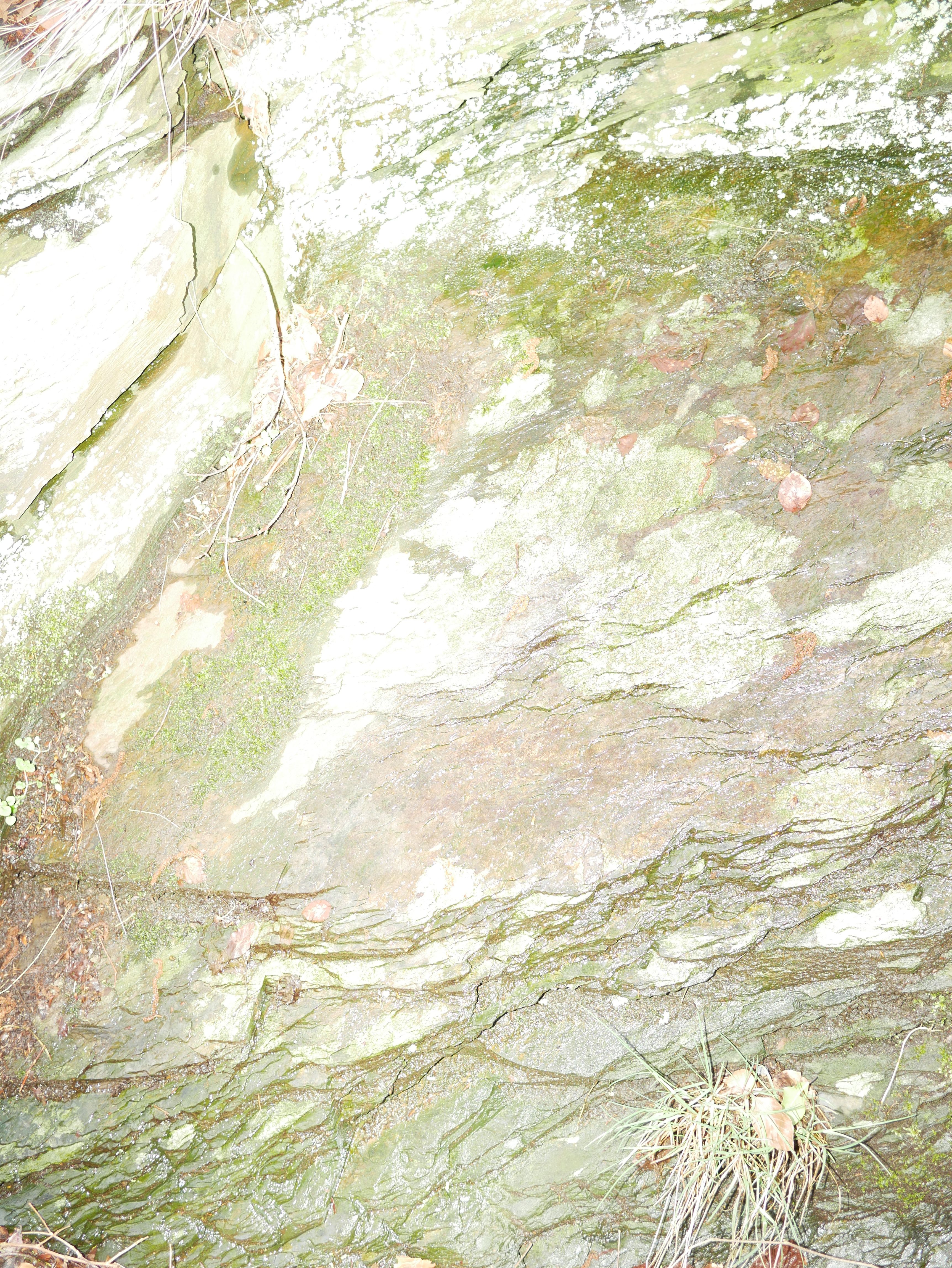 GERMANY #1 - Photo 1